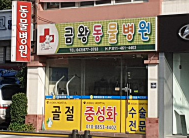 금왕동물병원