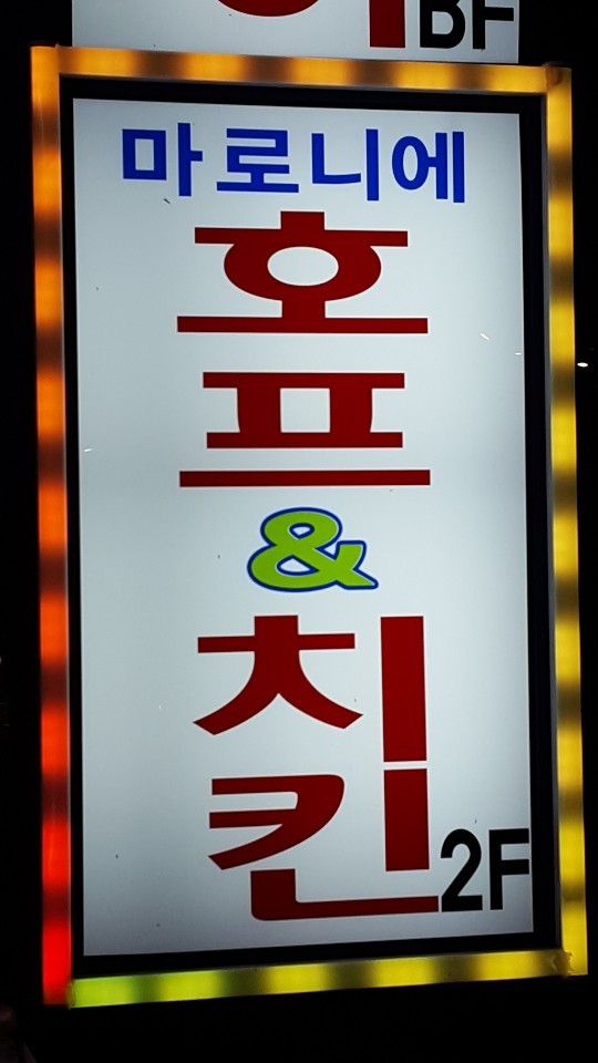 마로니에