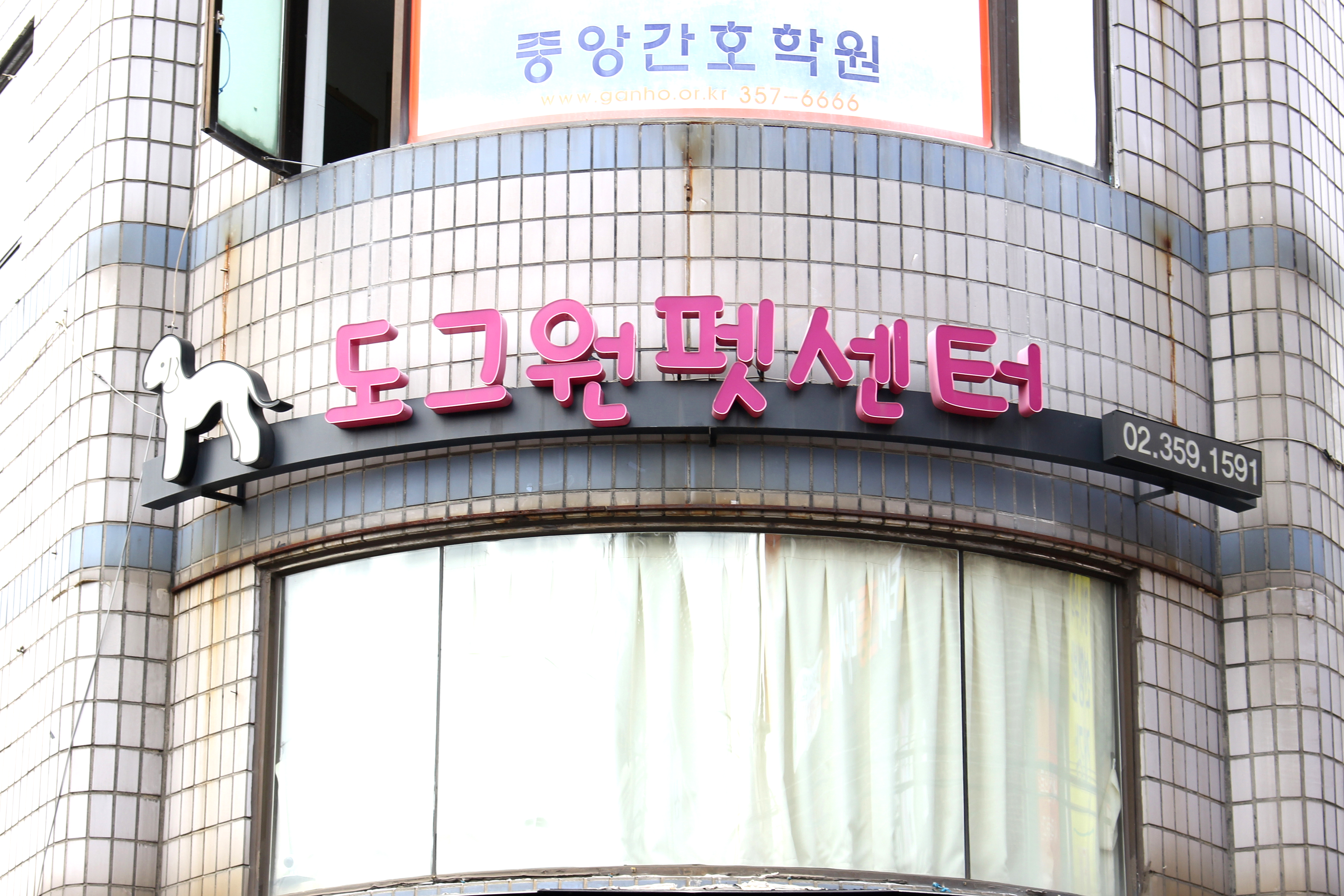 도그원 애견호텔 대표 이미지