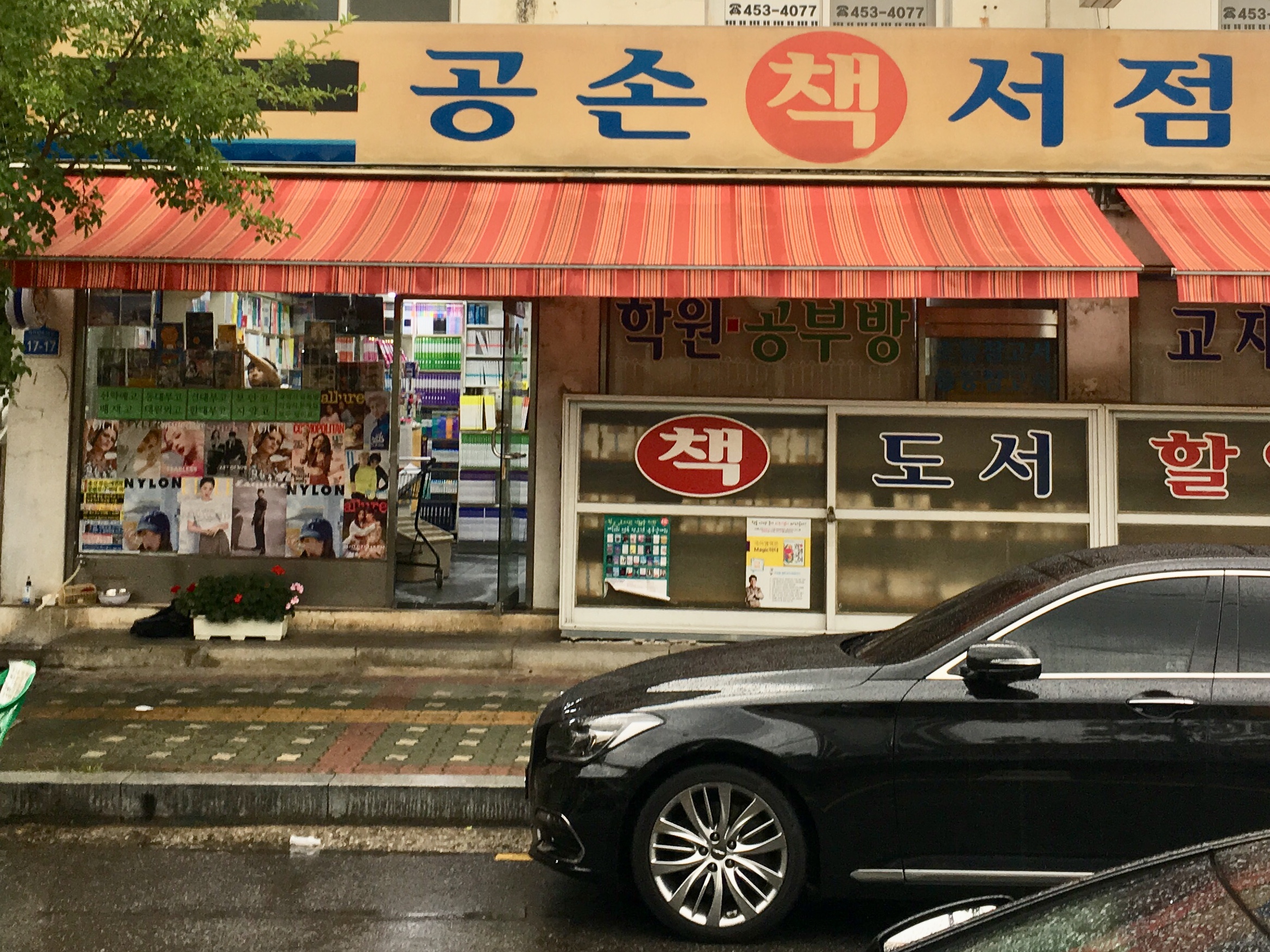 공손서점