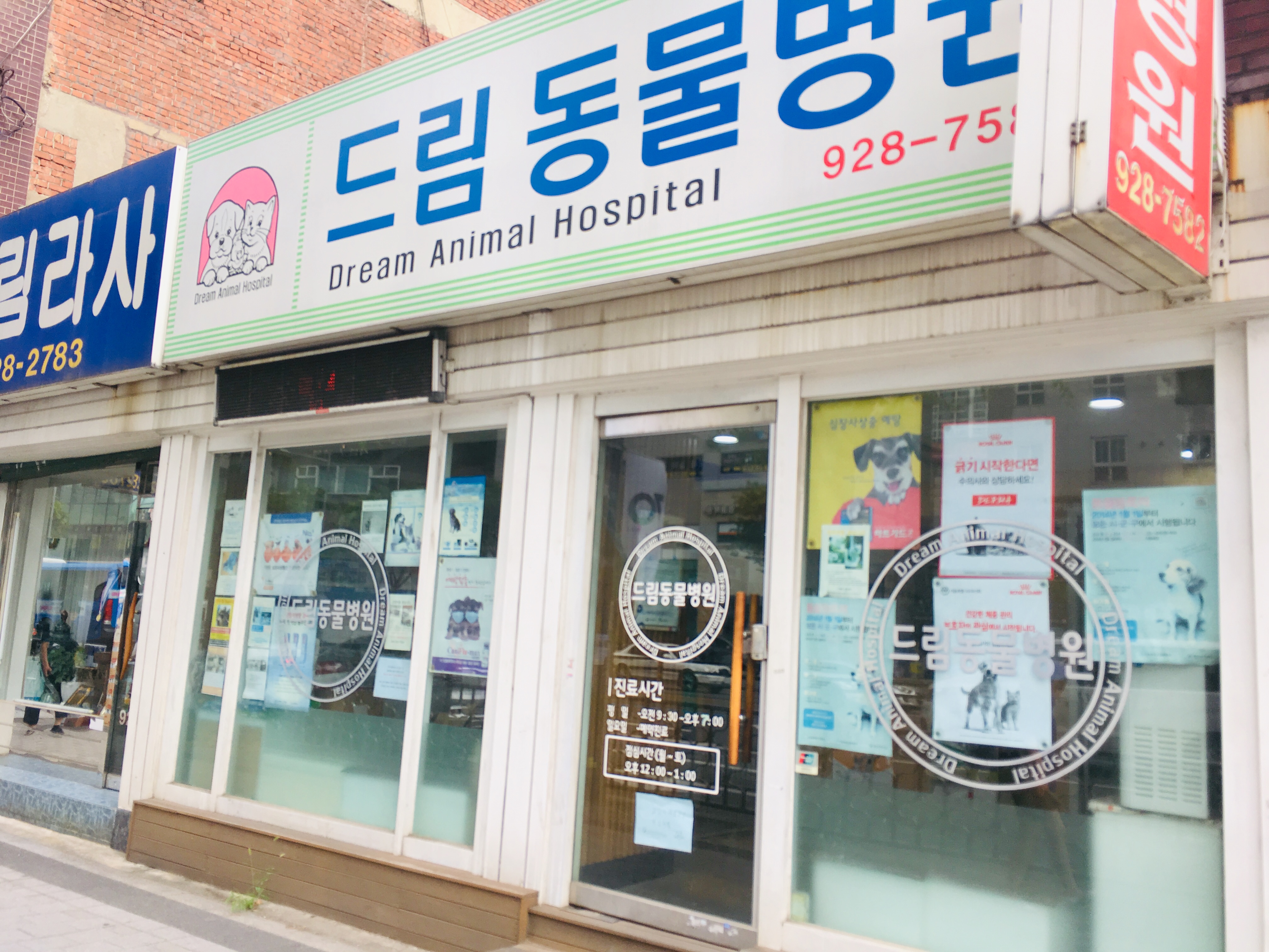 드림동물병원