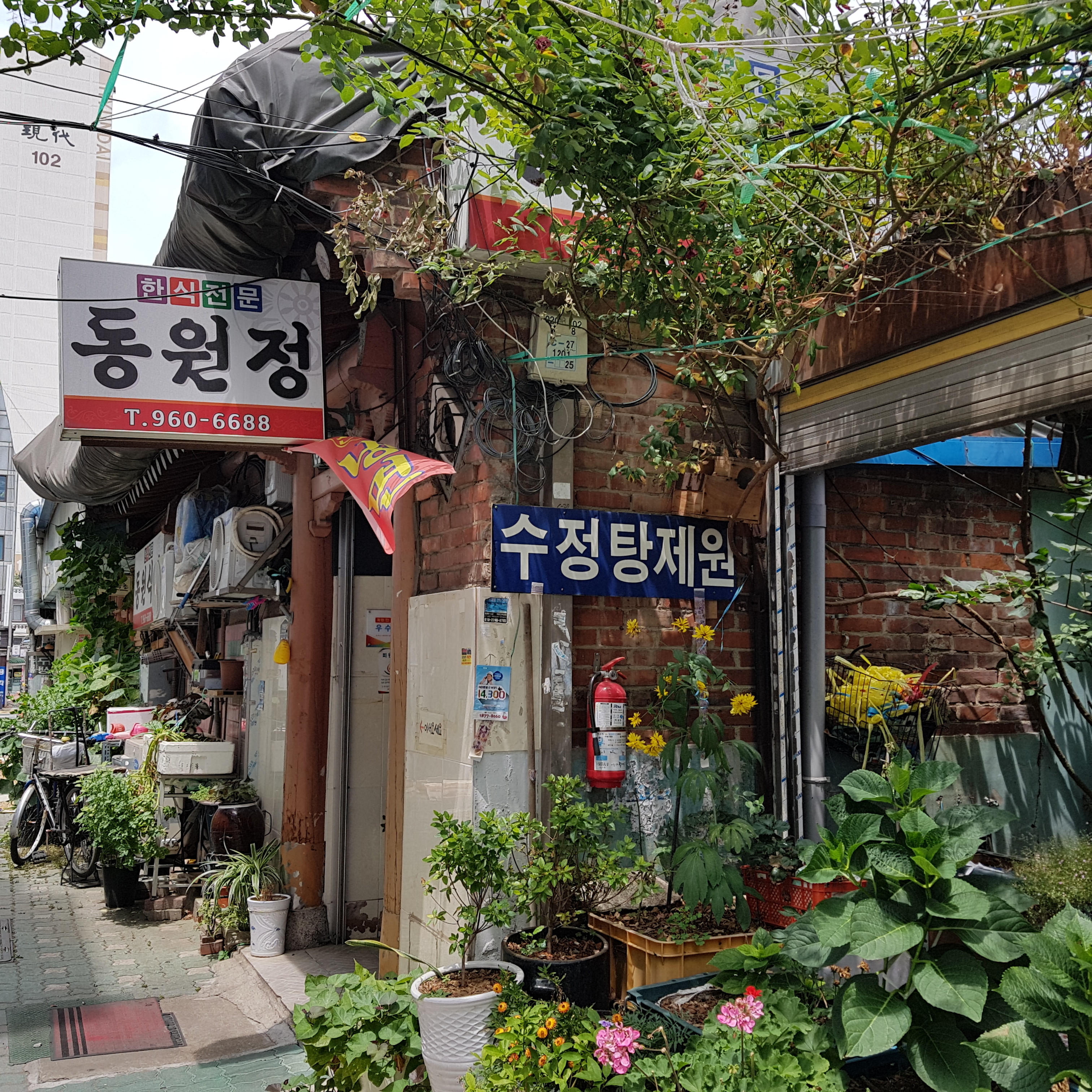 동원식당