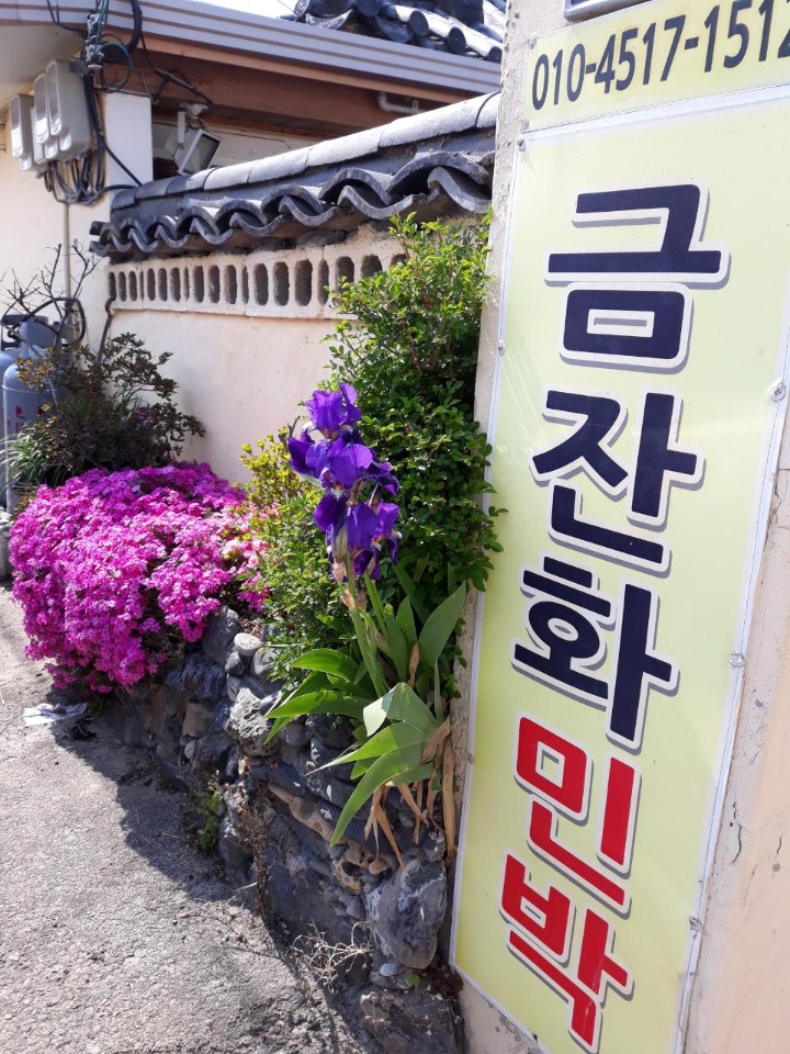 금잔화국수