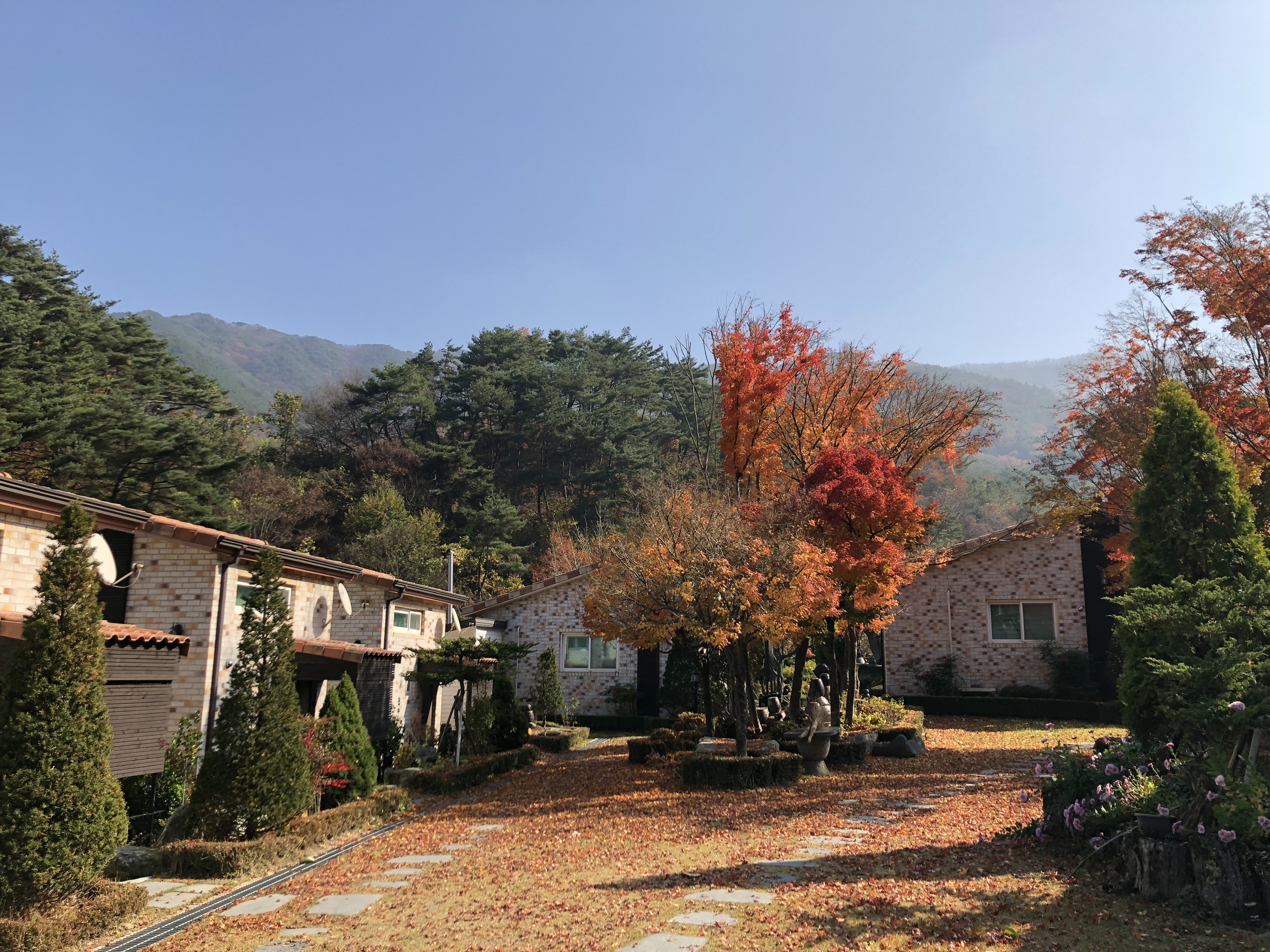 곡성나무펜션