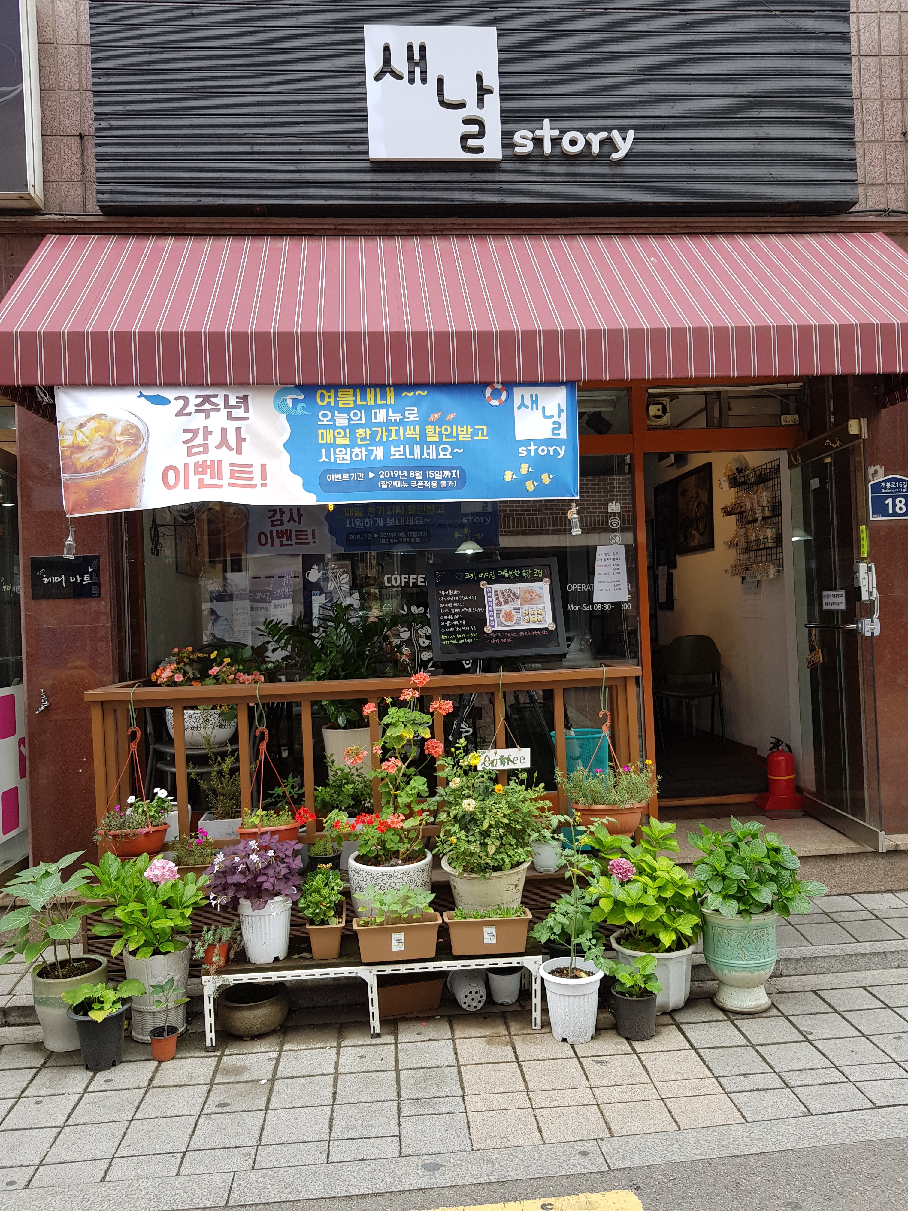 새날스토리