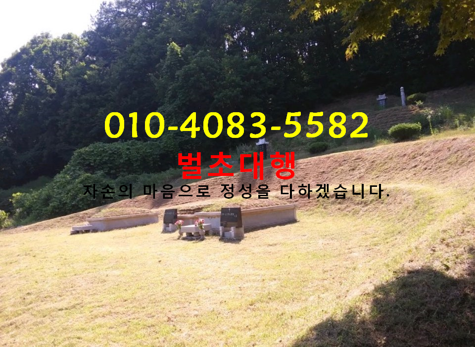 가나벌초장묘