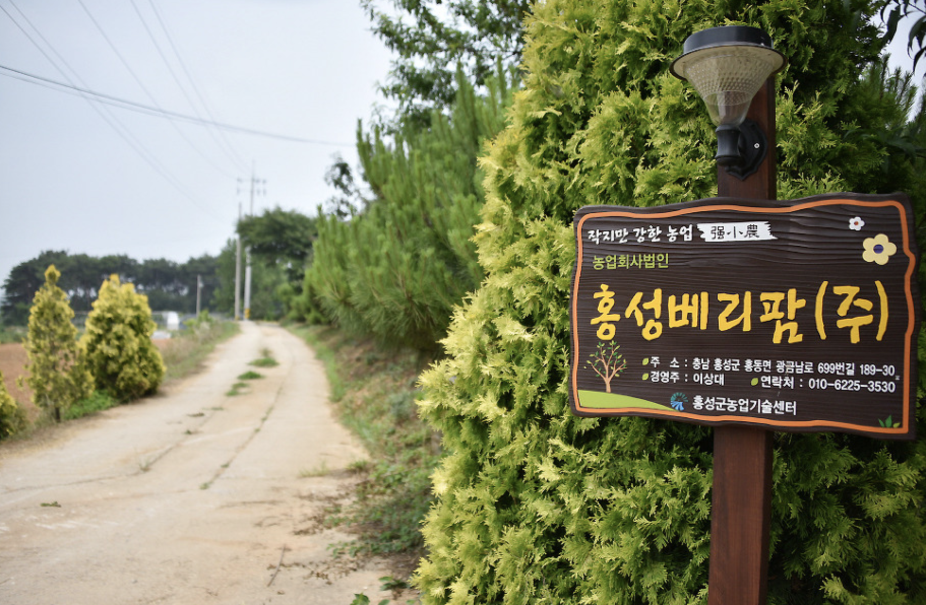 홍성베리팜