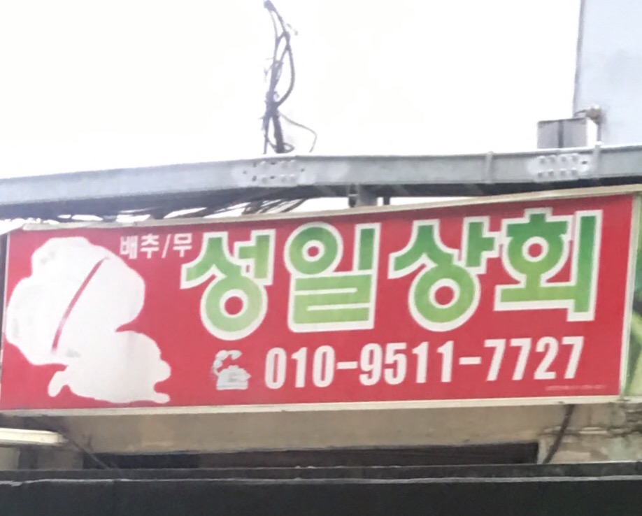 성일상회
