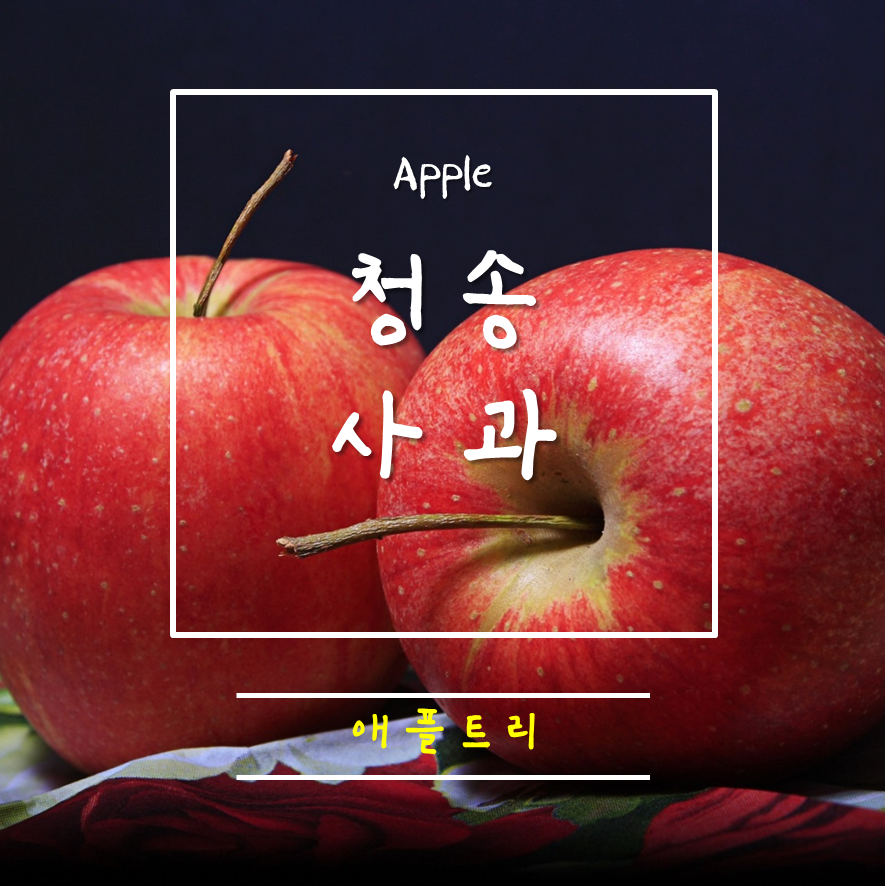 애플트리