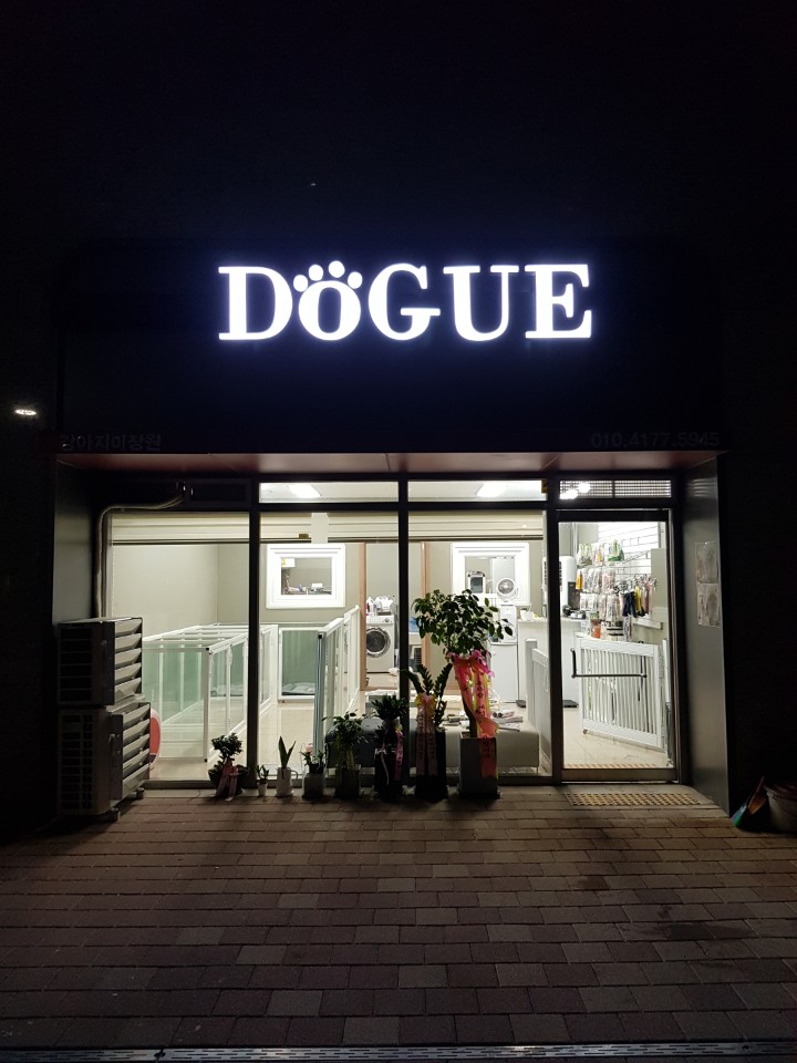 도그 대표 이미지