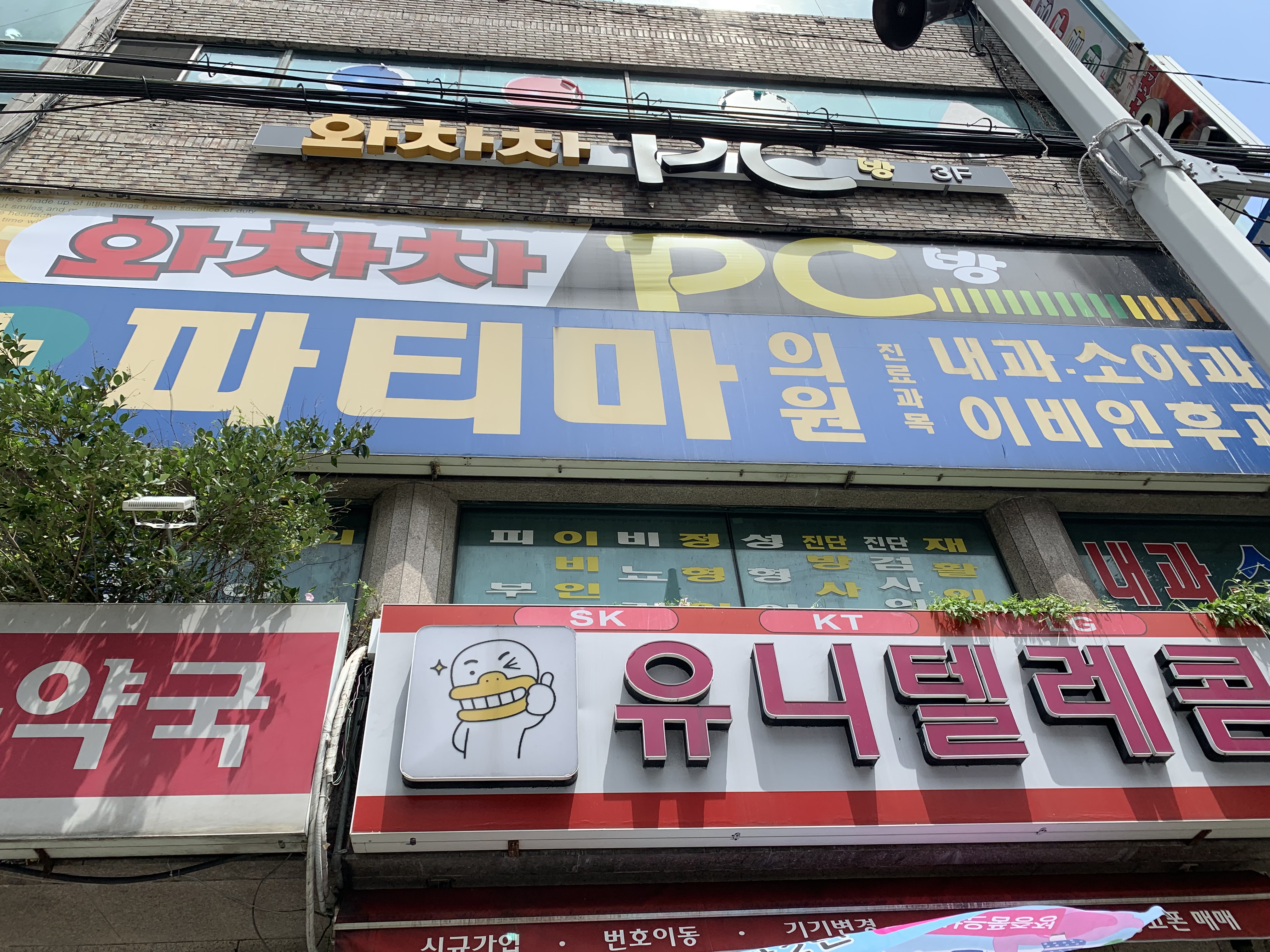 파티마의원 대표 이미지