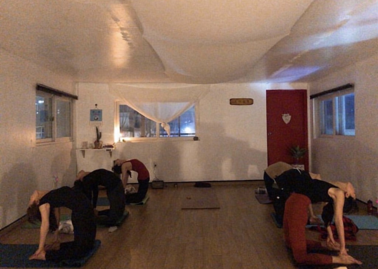 요가공존 대표 이미지