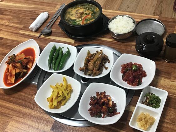 황금오리