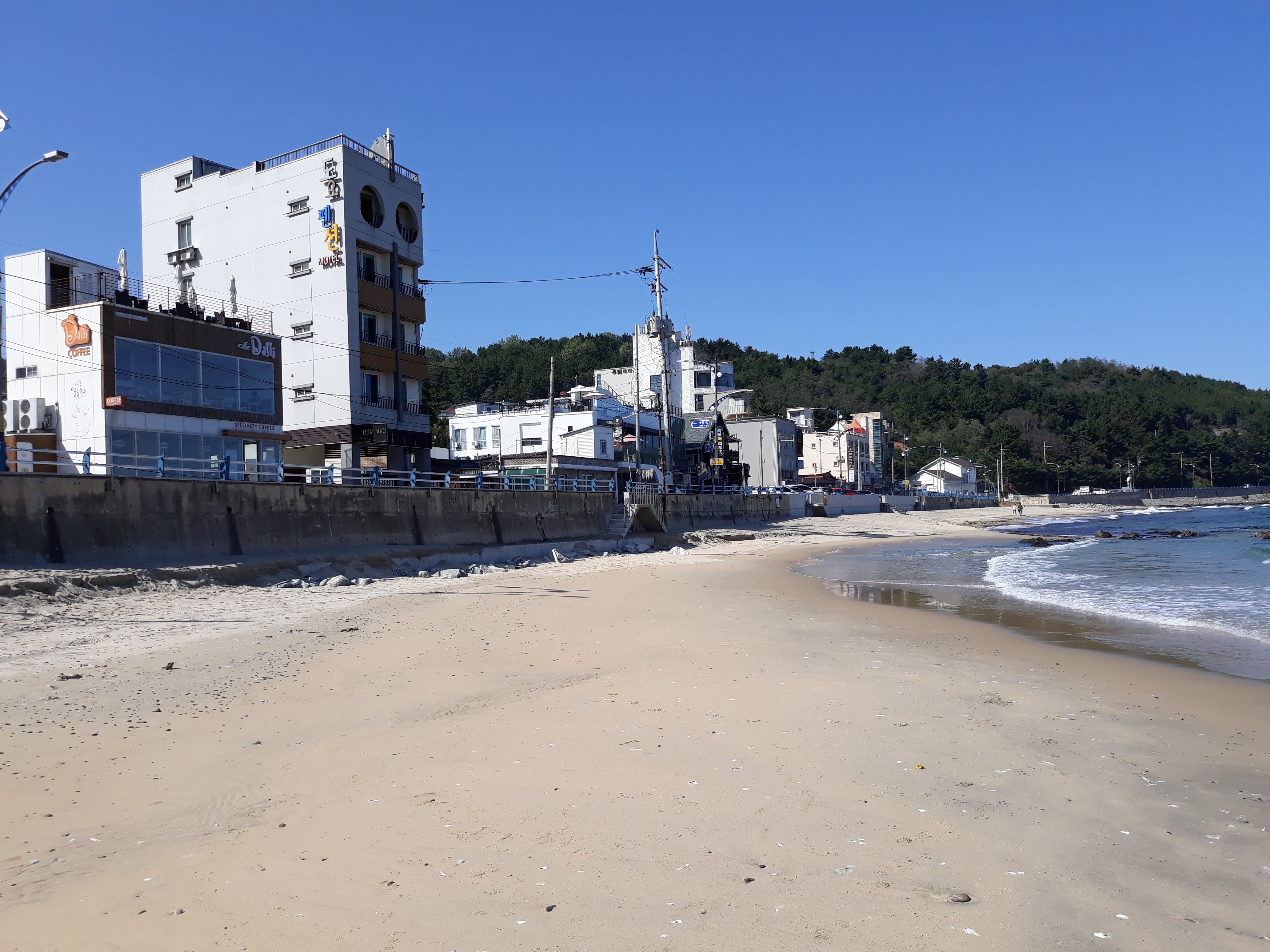 어달펜션 반려동물 동반 애견카페