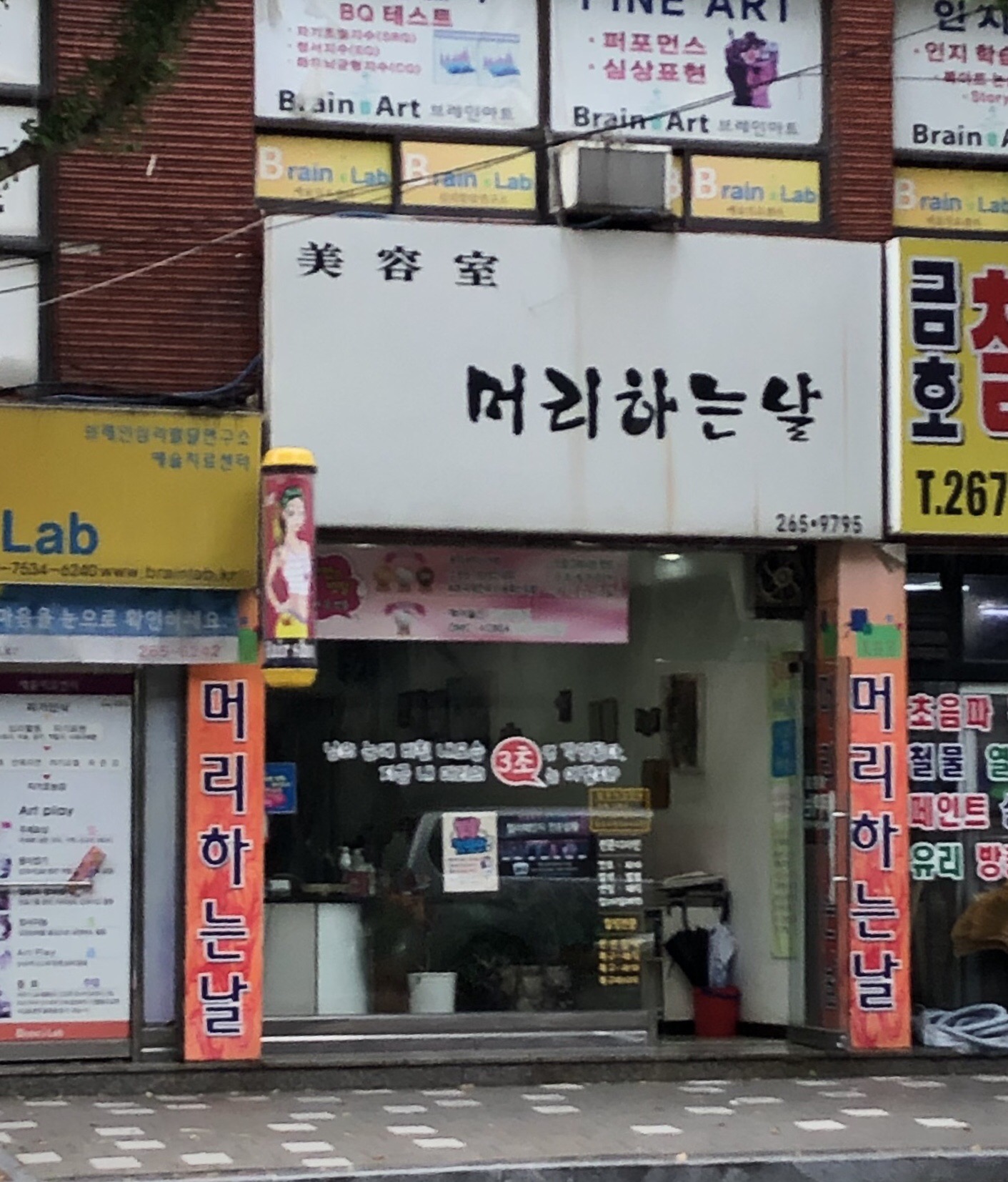 머리하는날