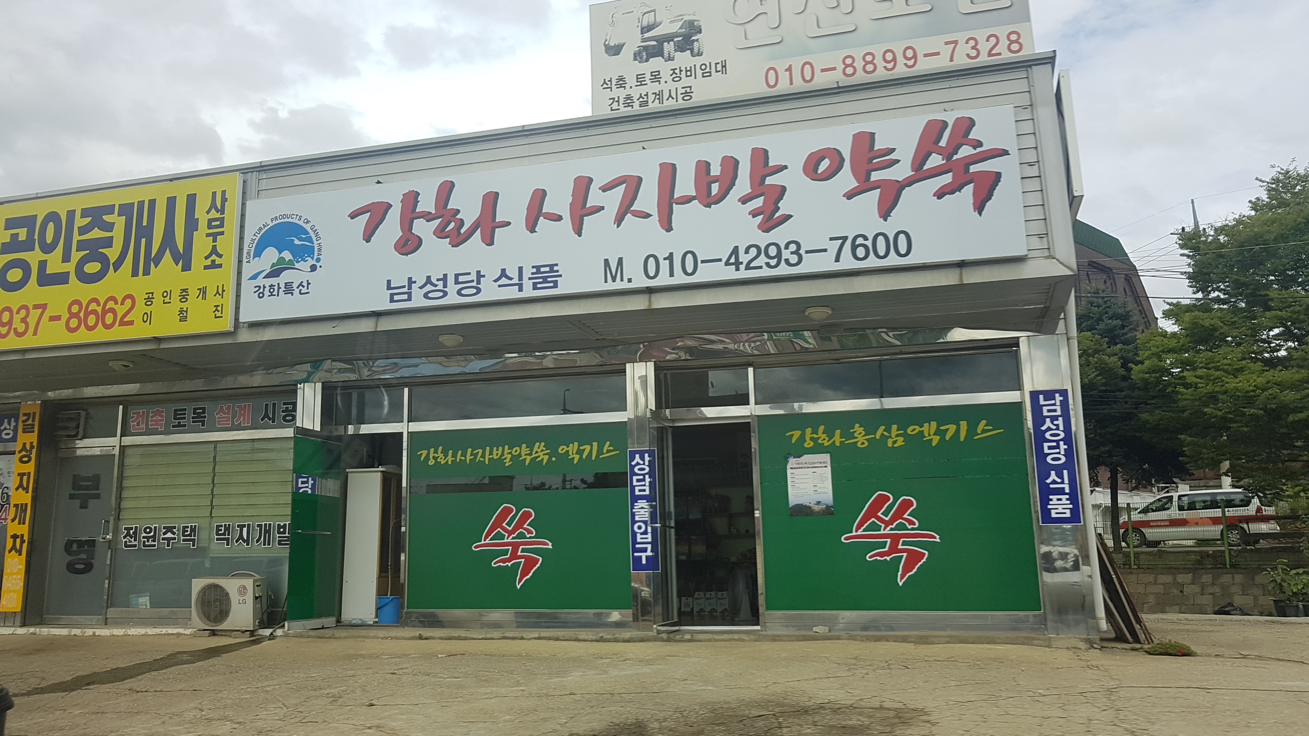 강화사자발약쑥
