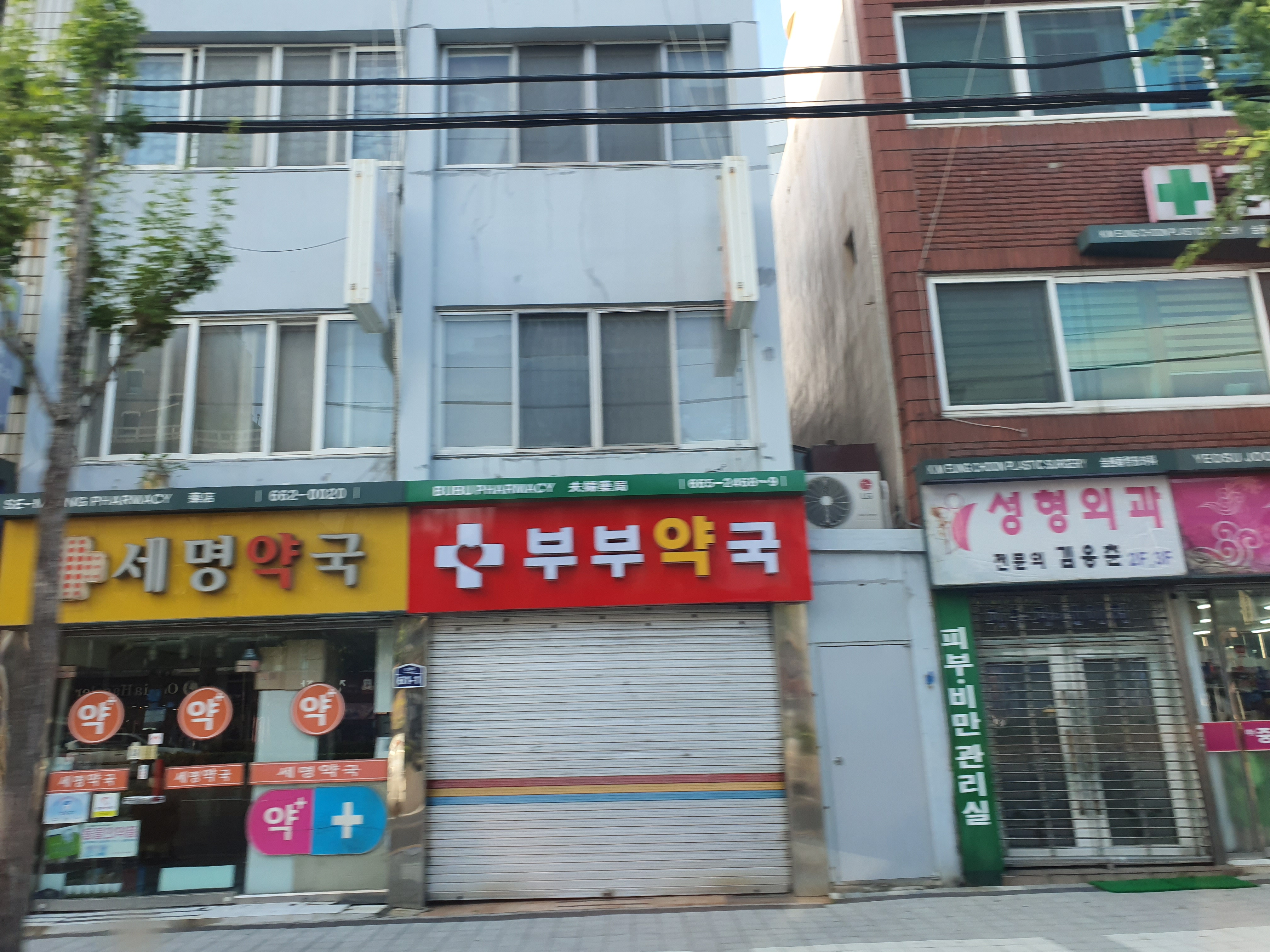 세명약국 대표 이미지