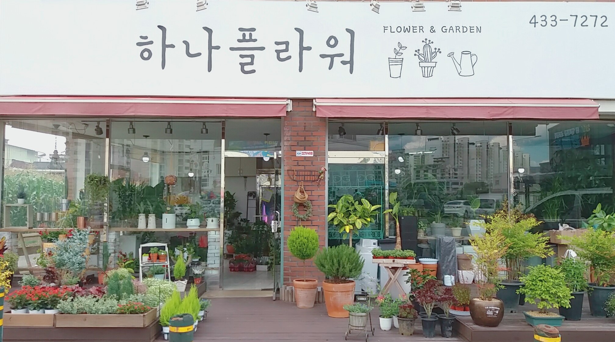 하나플라워