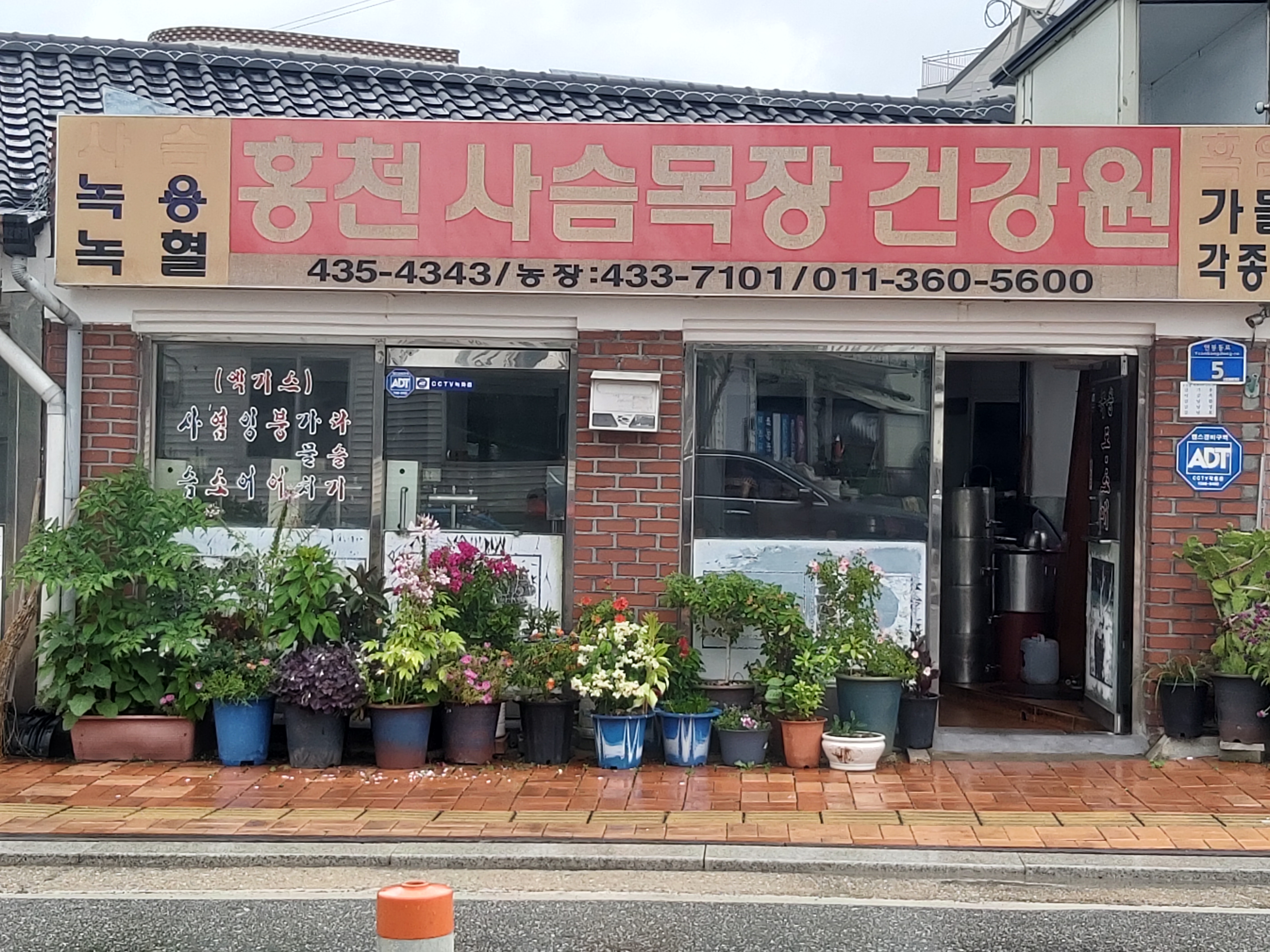 홍천사슴건강원