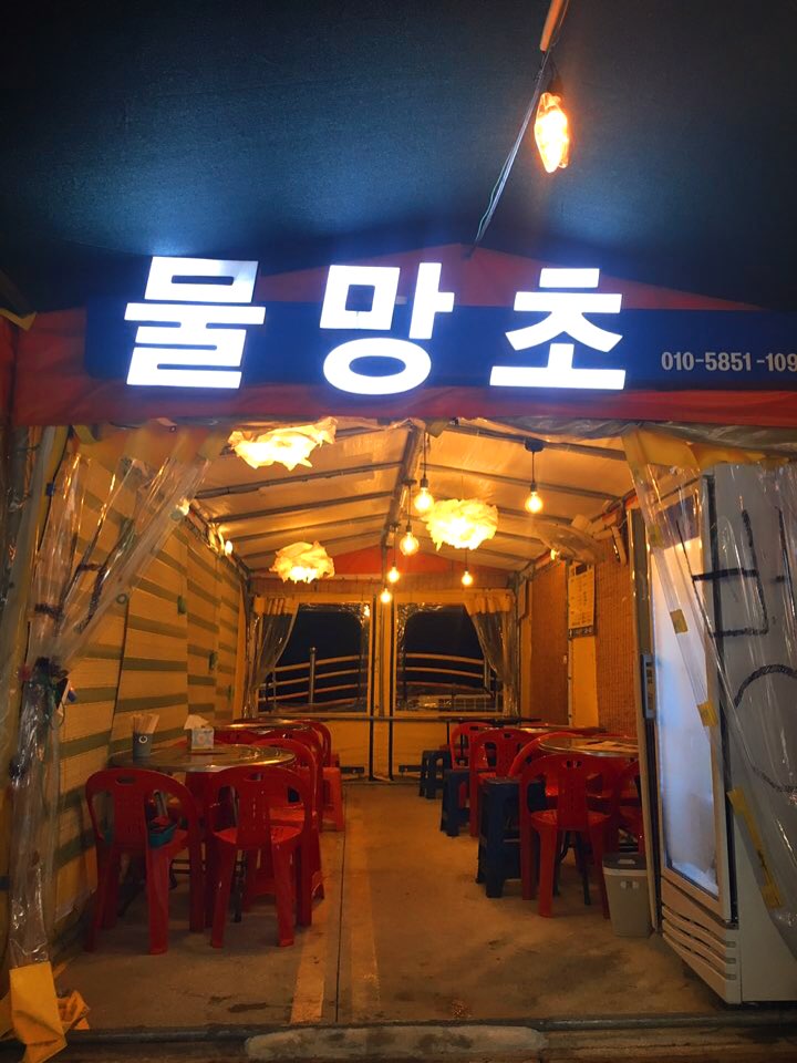 물망초
