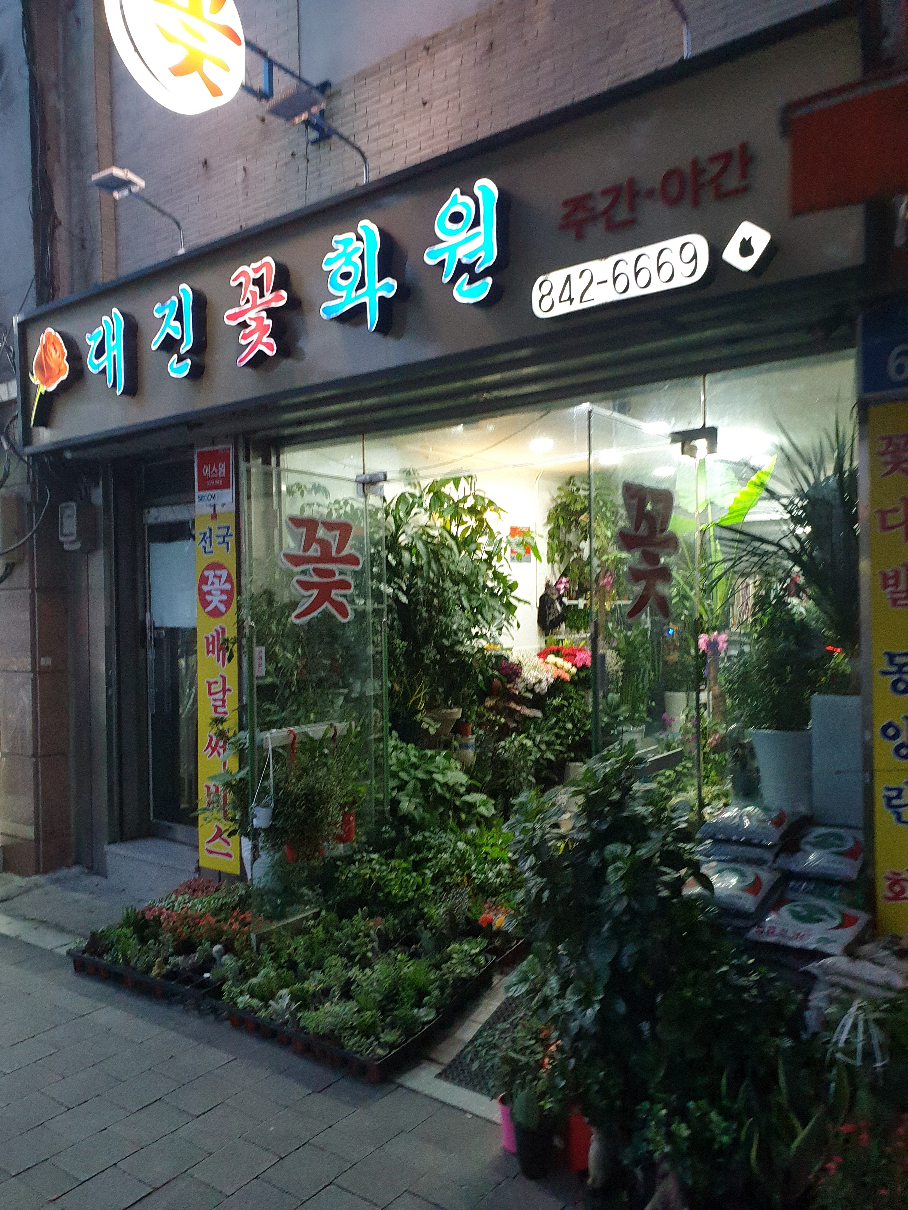대진꽃화원