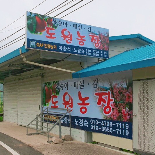 도원패밀리농장