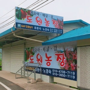 도원패밀리농장