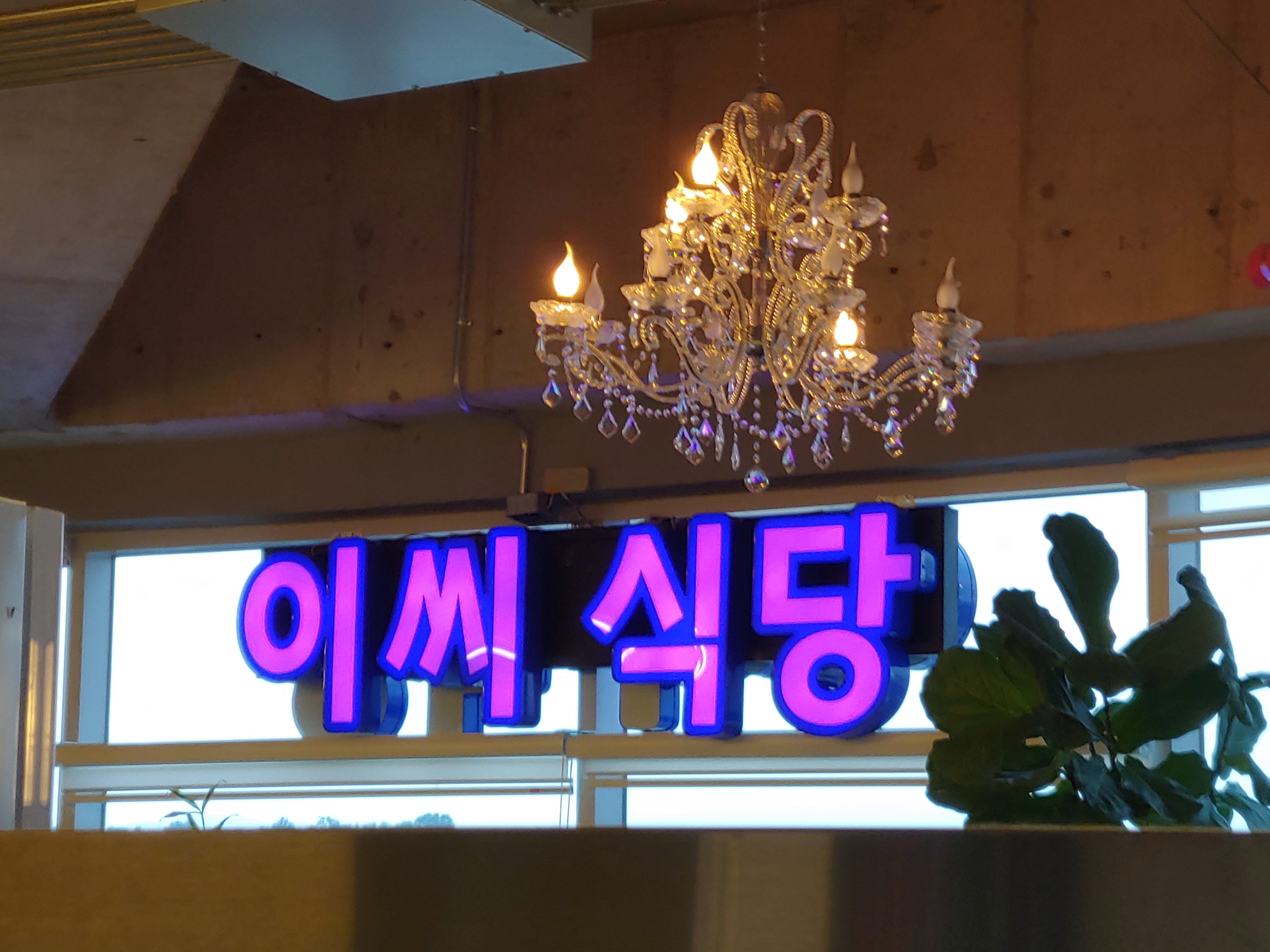이씨식당 경북도청점