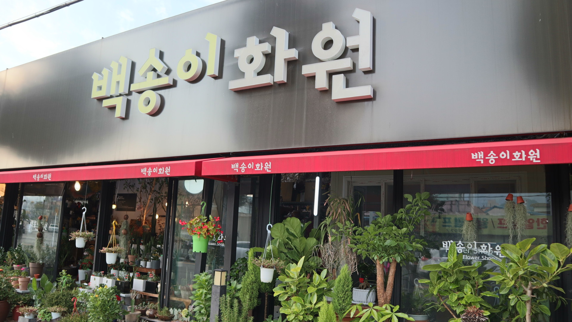 백송이화원