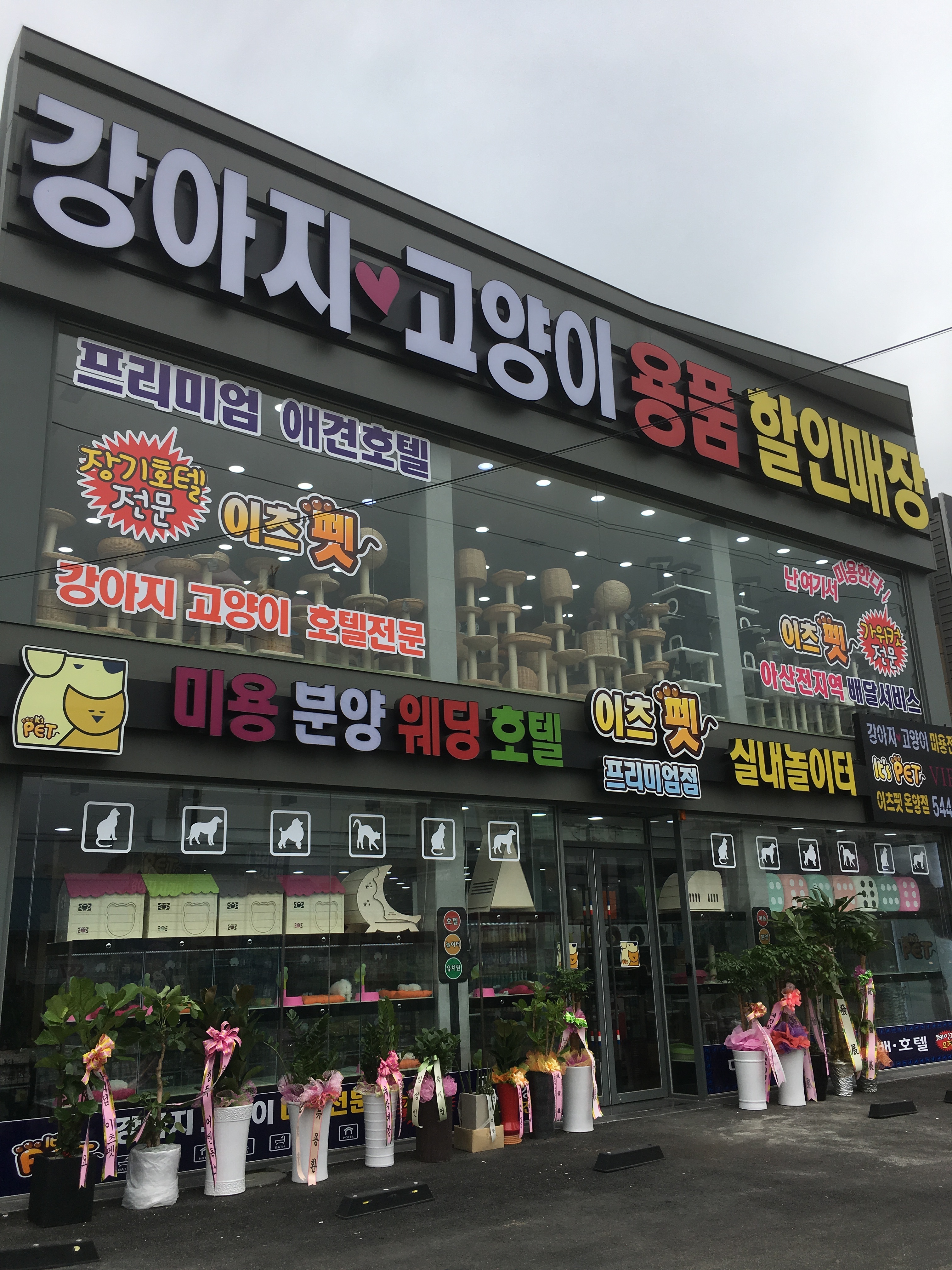 이츠펫 온양점 충청 애견숙소