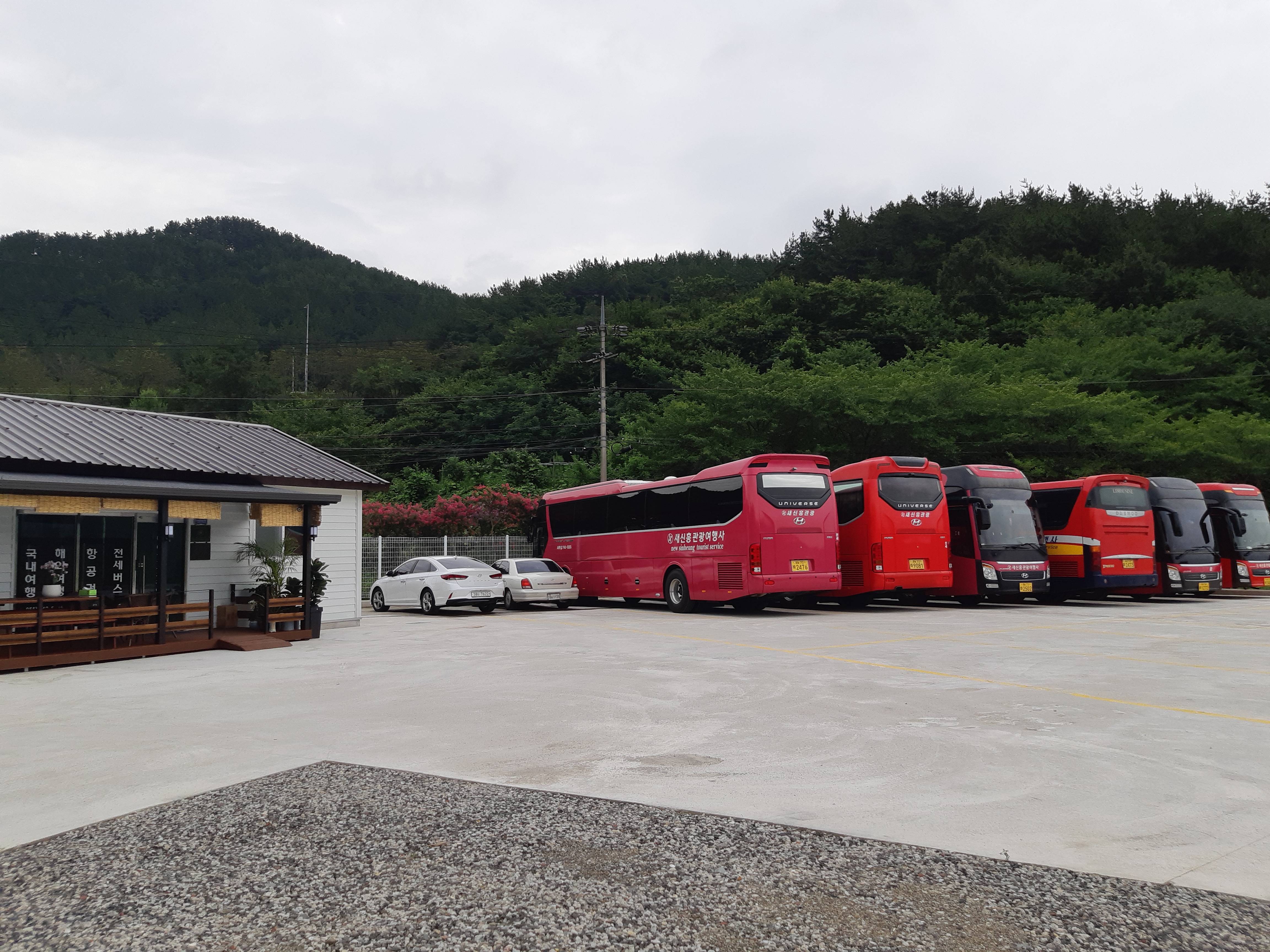 새신흥관광