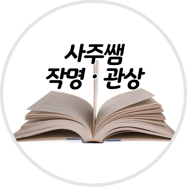 사주쌤 작명 관상