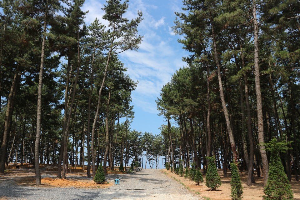 장항오토캠핑장