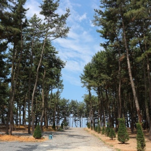 장항오토캠핑장