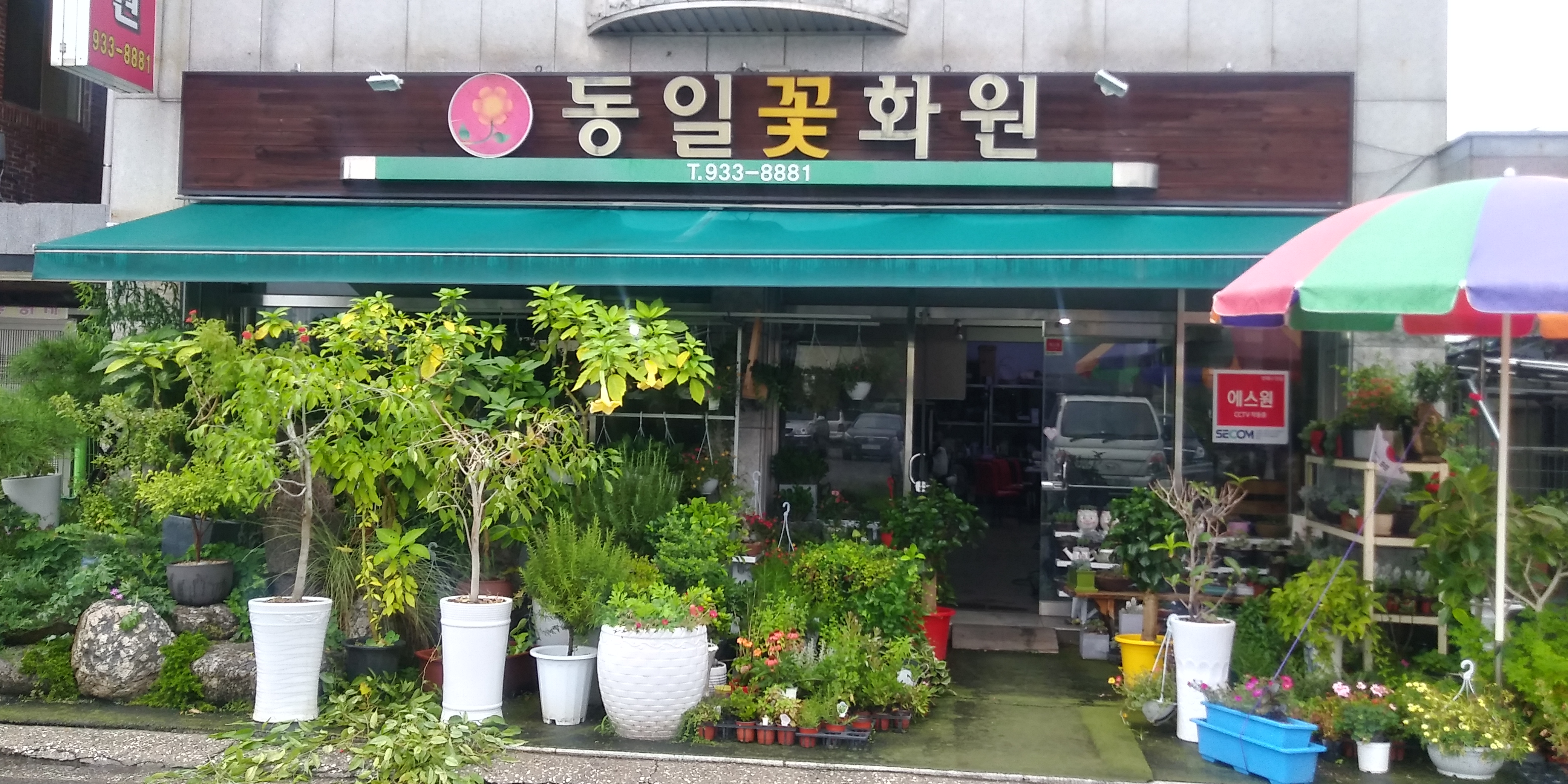 동일꽃화원