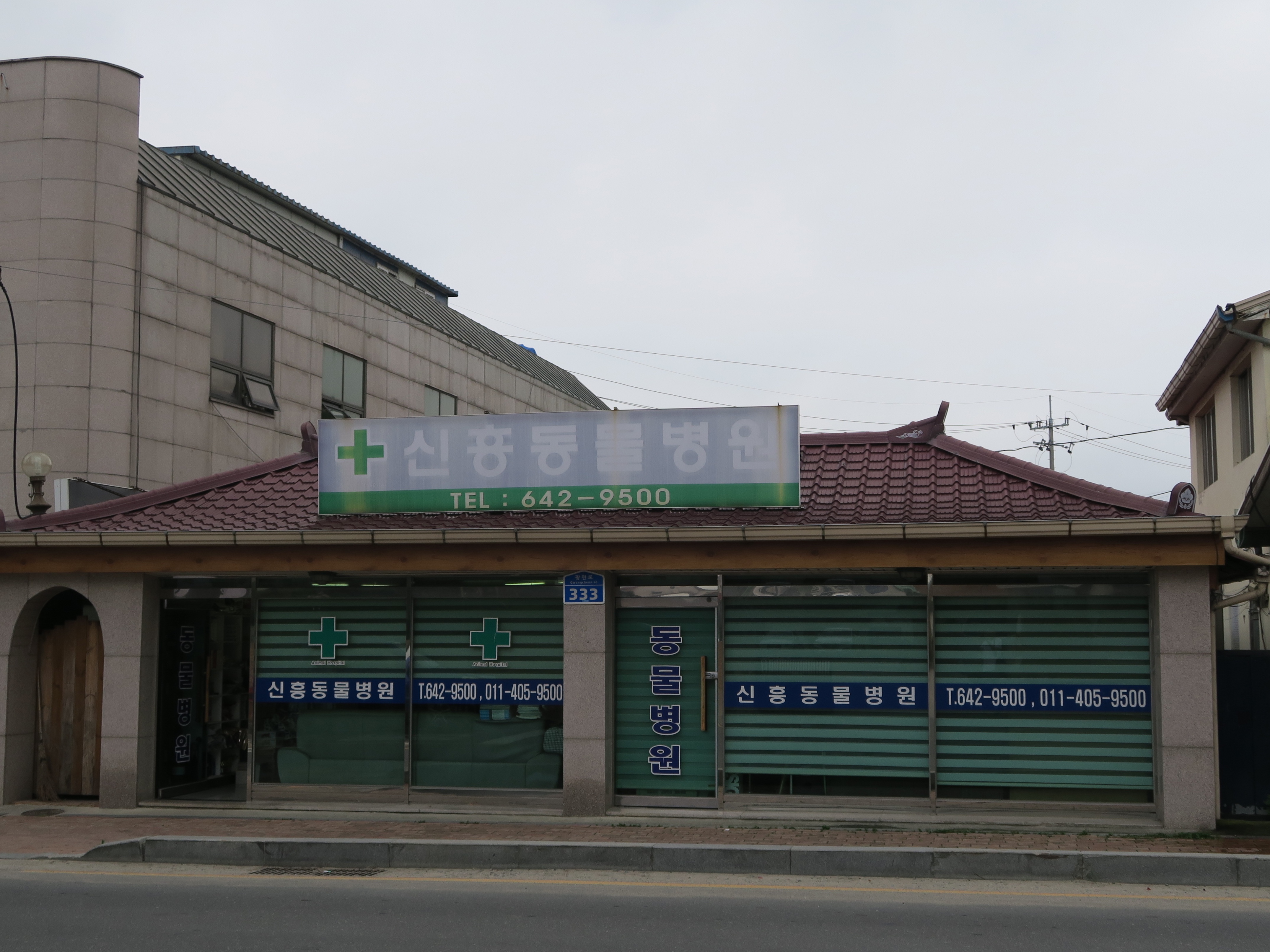 신흥동물병원 대표 이미지