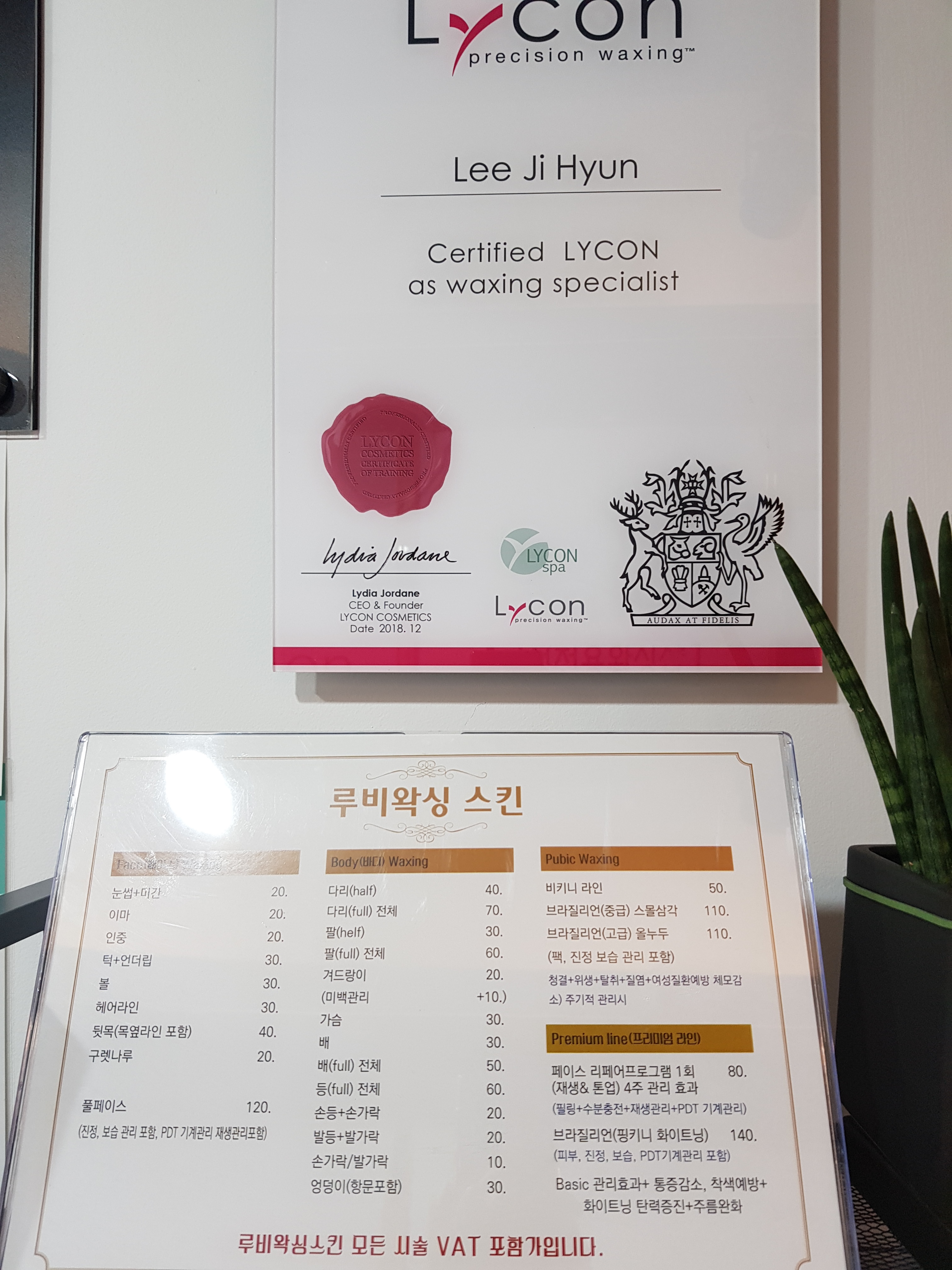 루비왁싱스킨