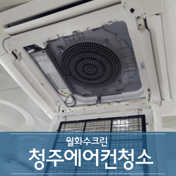 월화수크린