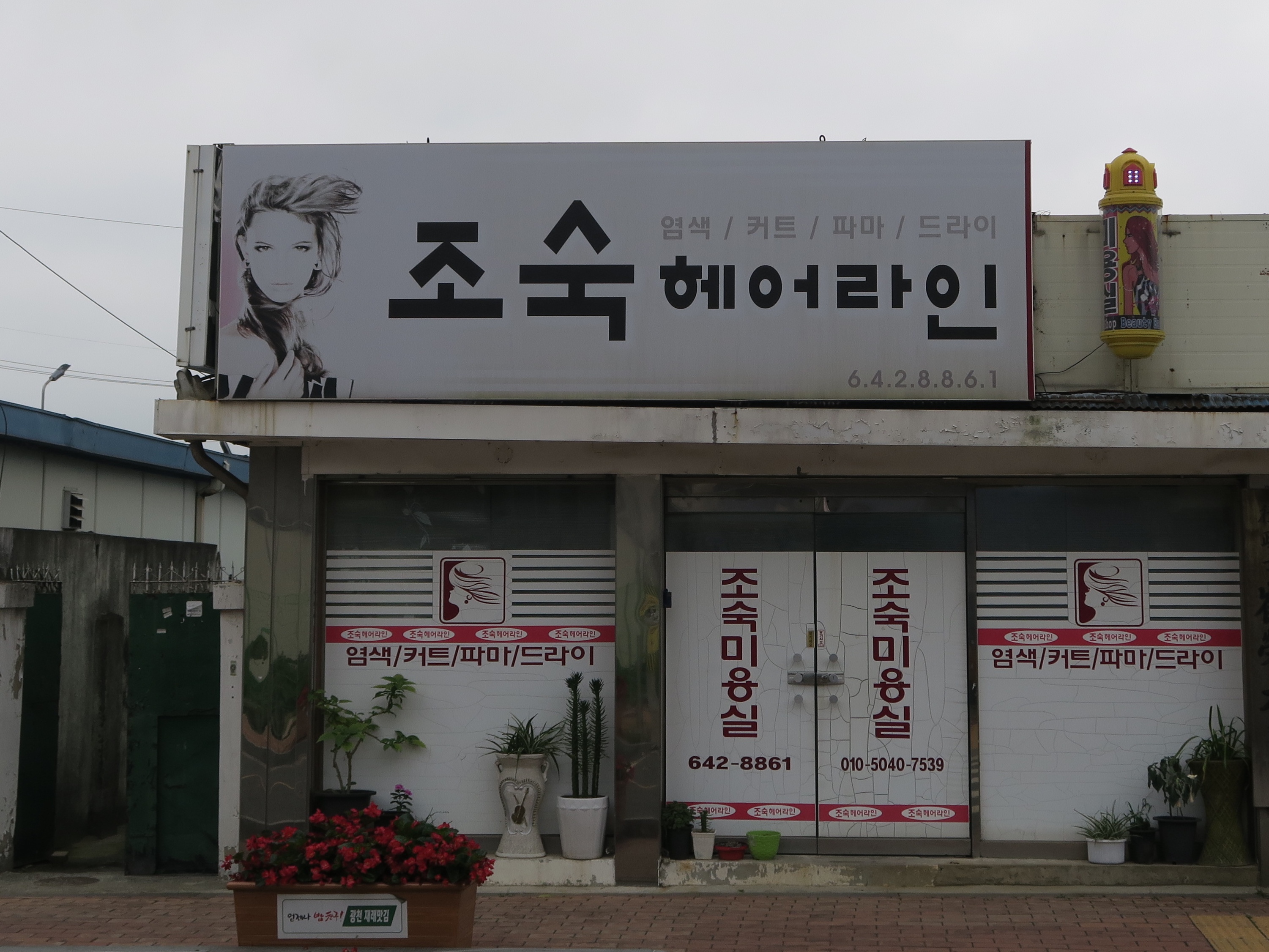 조숙헤어라인