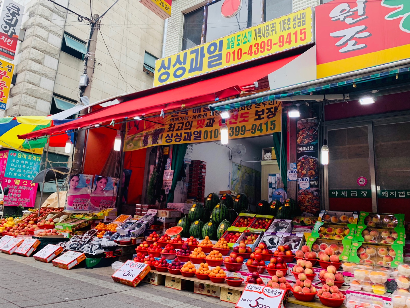 싱싱과일
