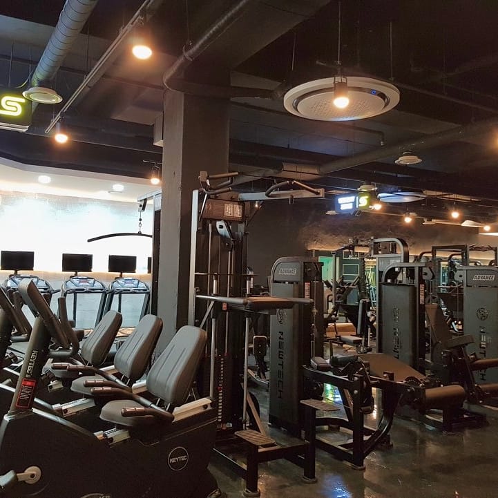 에스휘트니스