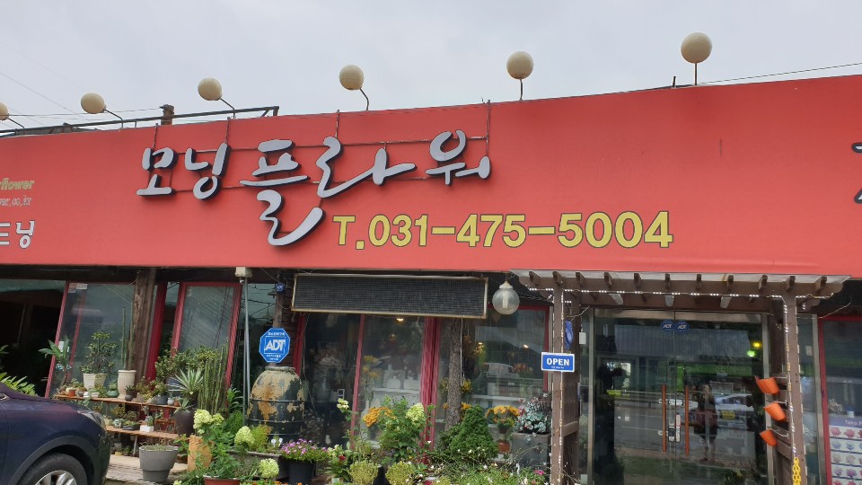 모닝플라워