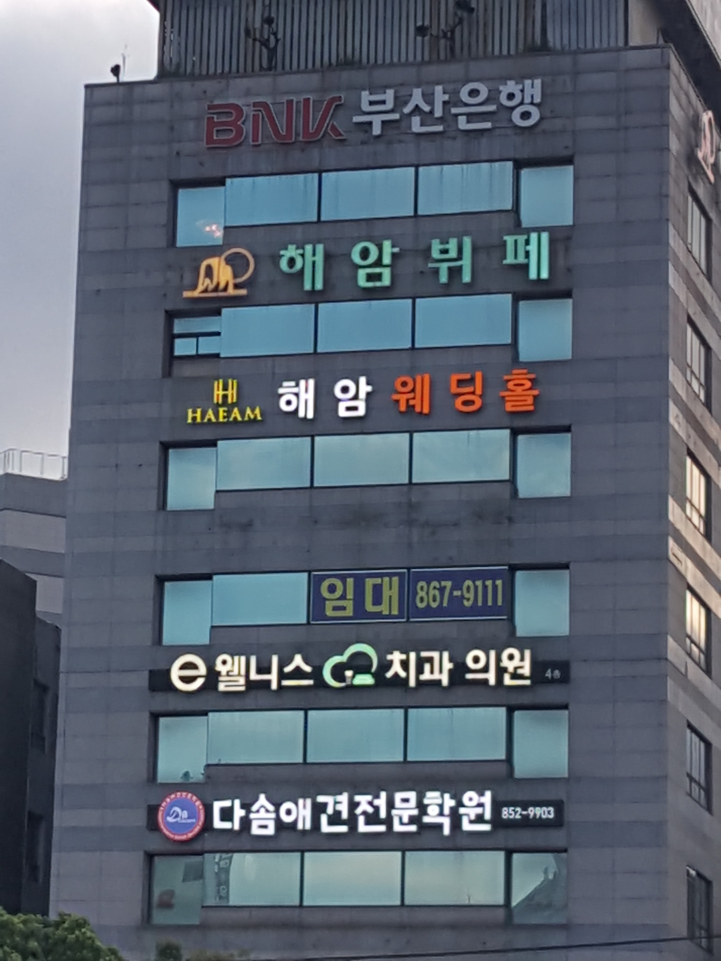 e웰니스치과의원