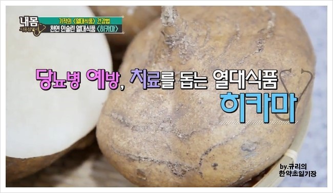 남해마실