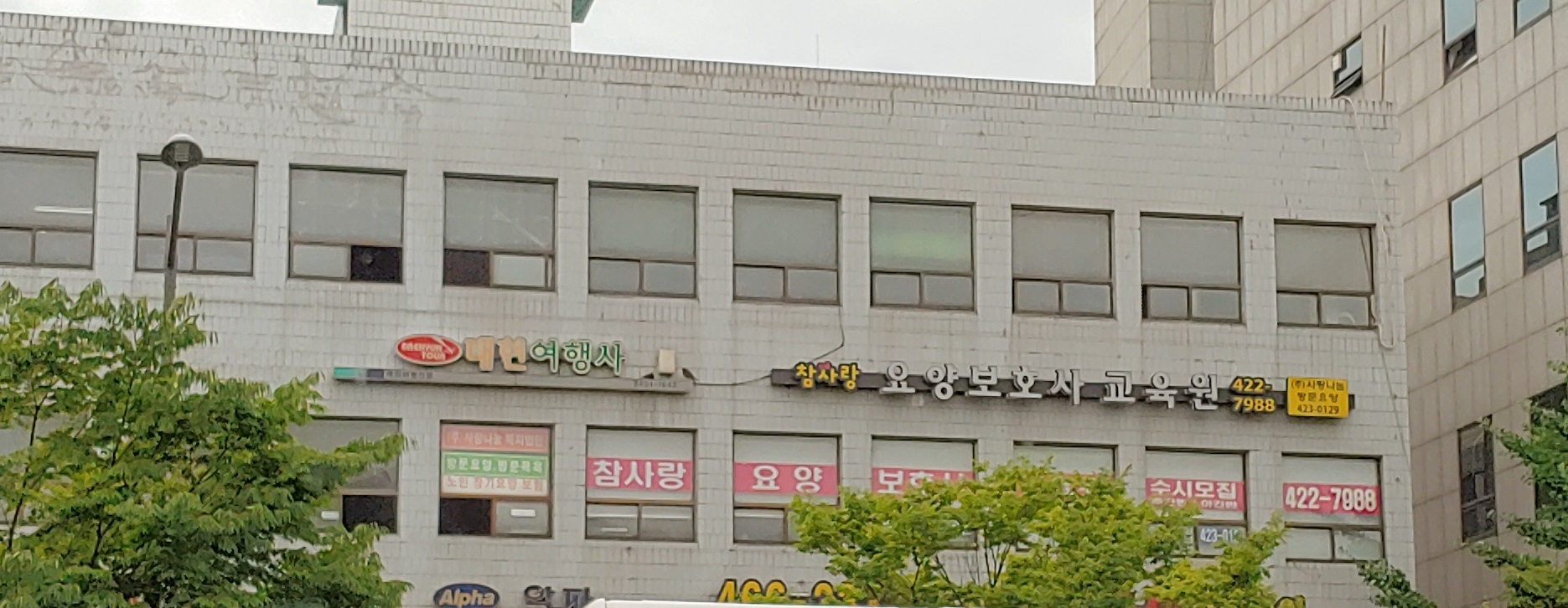 대현여행사