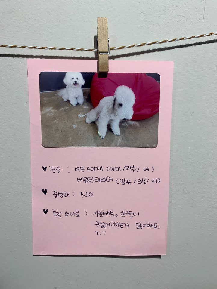 루루하우스 대표 이미지