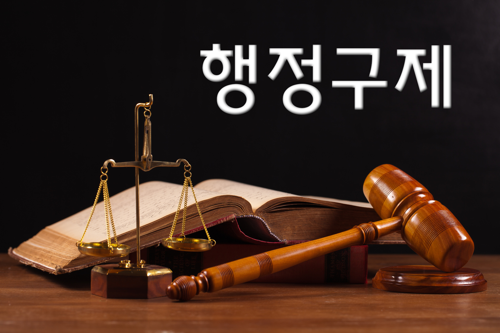 제이엔티행정사합동사무소