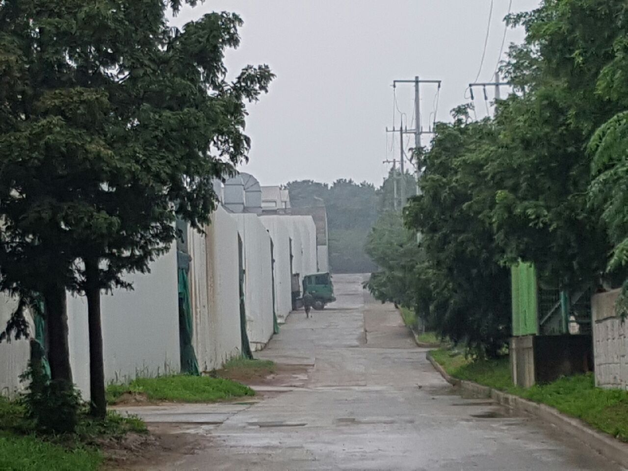 순수계분