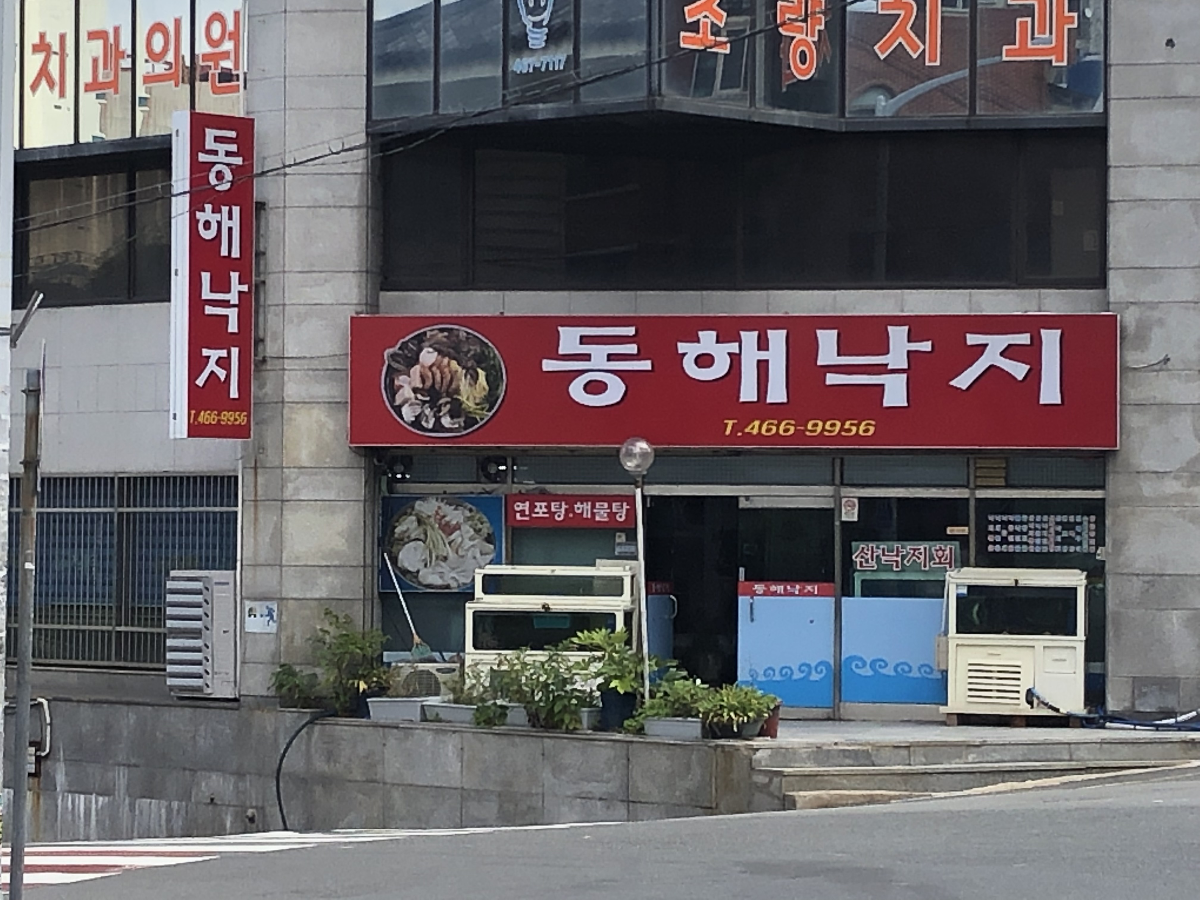 동해낙지마을