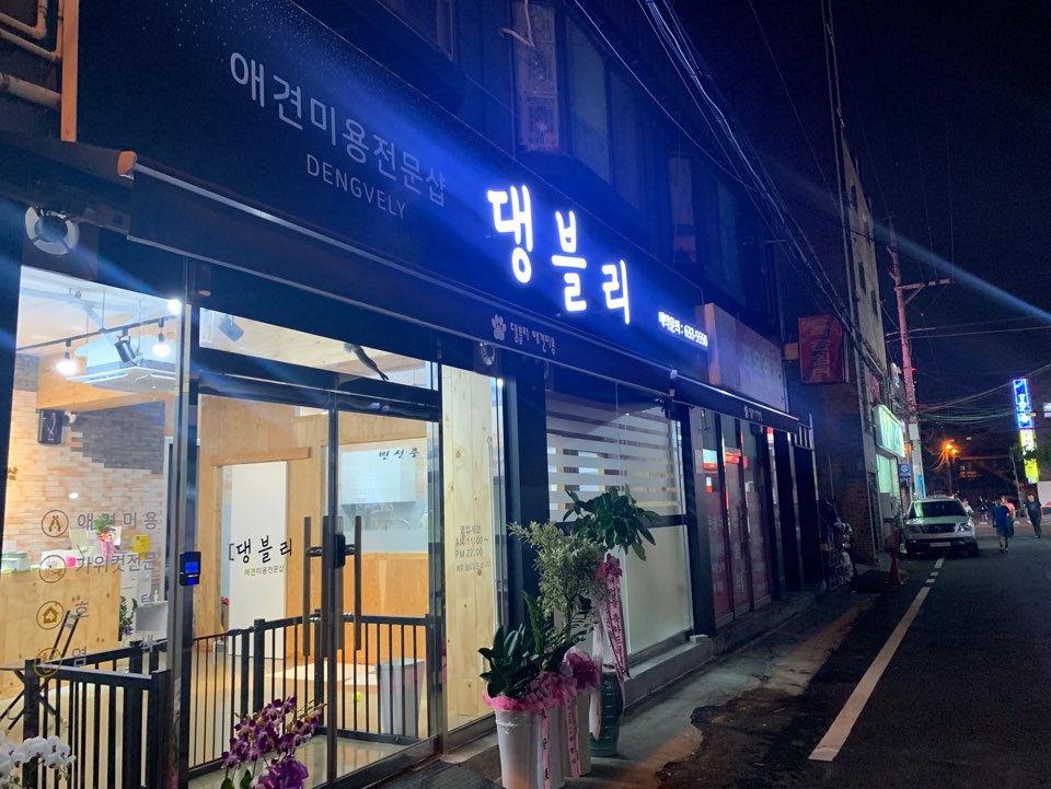 댕블리애견미용
